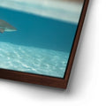 Thumbnail image 14 for Shark Cruising - Tahiti
