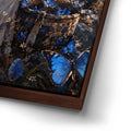 Thumbnail image 15 for She Carried a Little Sky