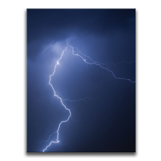Shocking Posters, Prints, & Visual Artwork TheGoatWallArt PORTRAIT 18x24 0.75" STANDARD