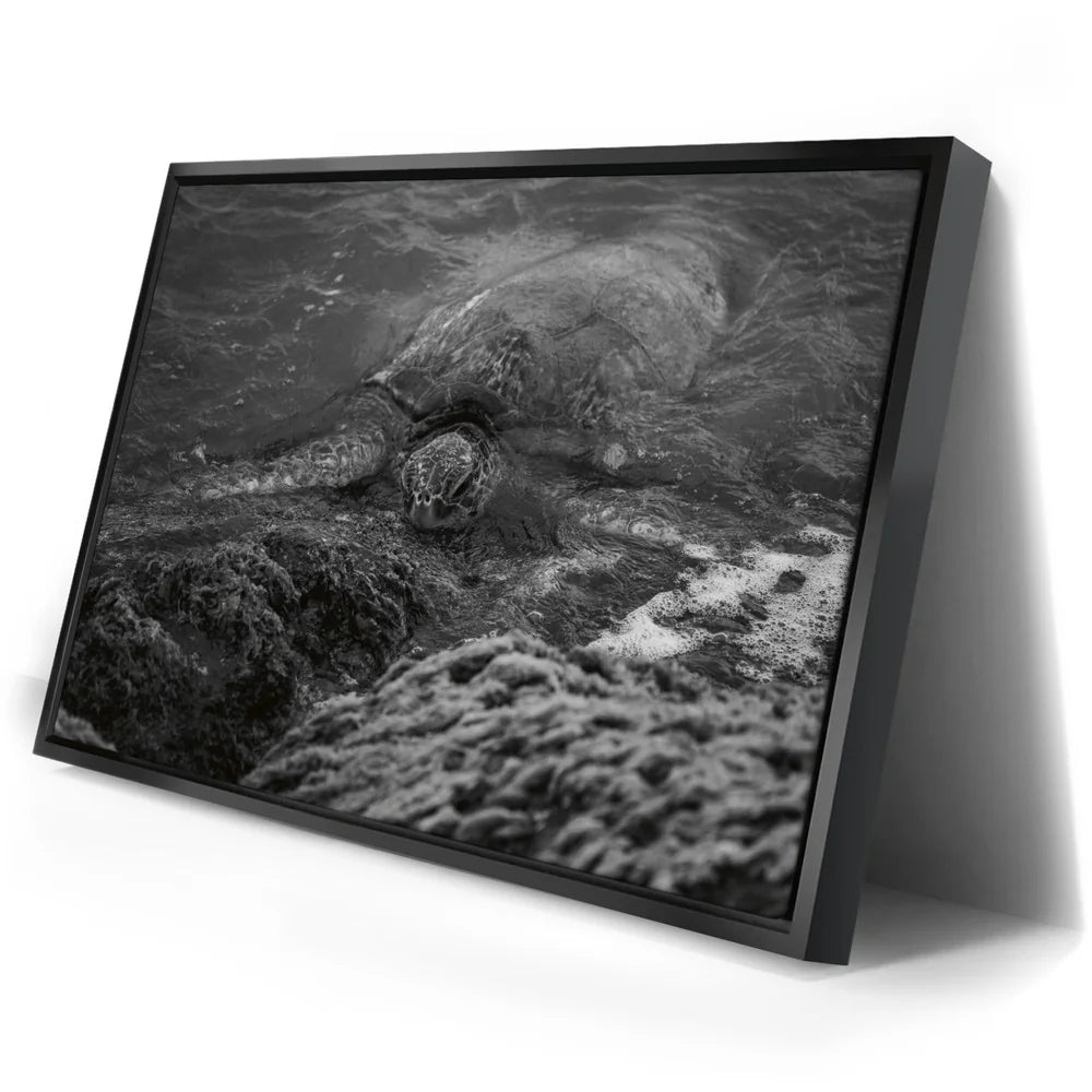 Featured image 2 for Shoreline Rest - Maui, HI
