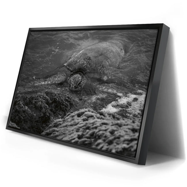 Featured image 2 for Shoreline Rest - Maui, HI