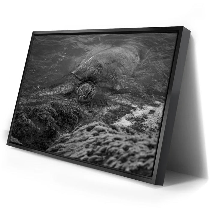 Featured image 2 for Shoreline Rest - Maui, HI