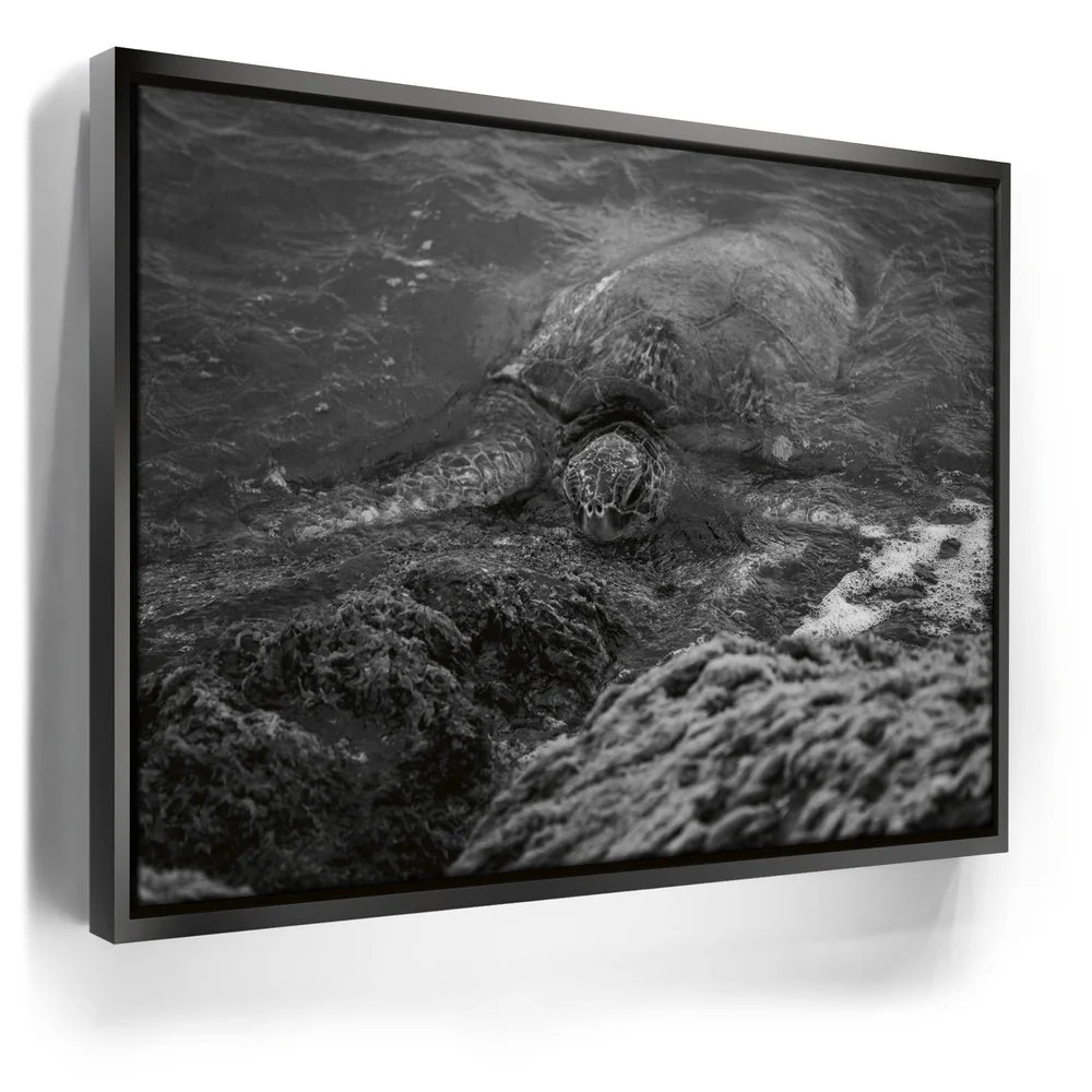 Featured image 5 for Shoreline Rest - Maui, HI