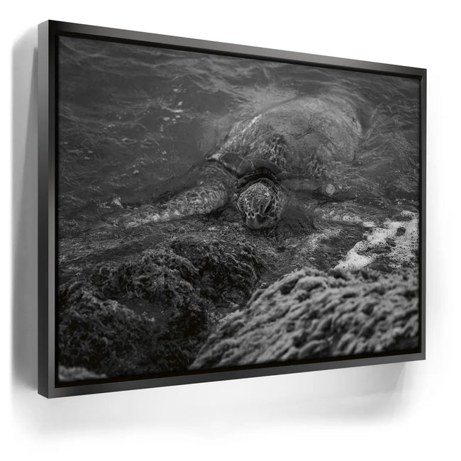 Featured image 5 for Shoreline Rest - Maui, HI