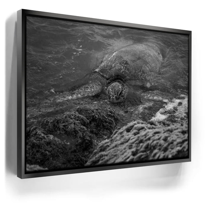 Featured image 5 for Shoreline Rest - Maui, HI