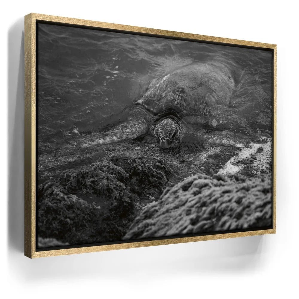 Featured image 7 for Shoreline Rest - Maui, HI