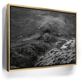 Featured image 7 for Shoreline Rest - Maui, HI