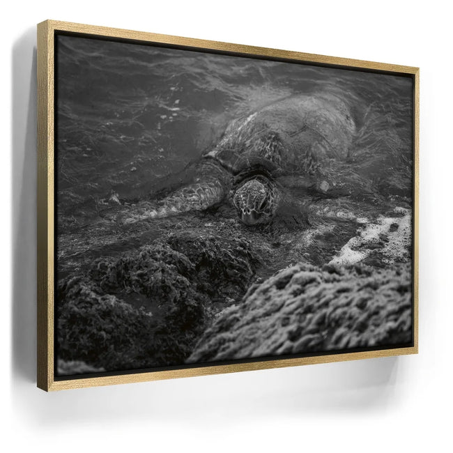 Featured image 7 for Shoreline Rest - Maui, HI