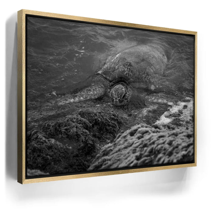 Featured image 7 for Shoreline Rest - Maui, HI