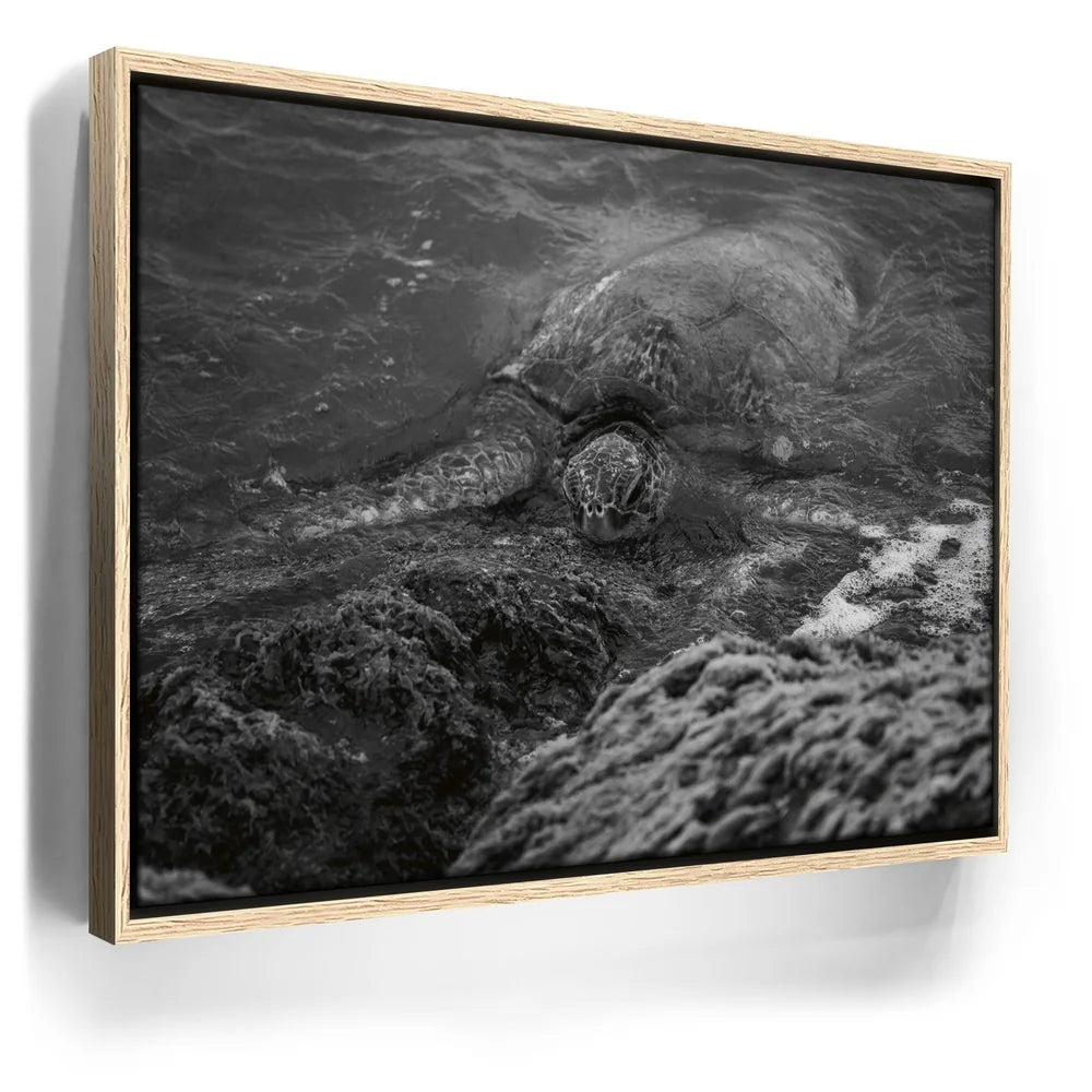 Featured image 9 for Shoreline Rest - Maui, HI