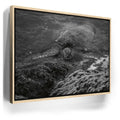 Featured image 9 for Shoreline Rest - Maui, HI