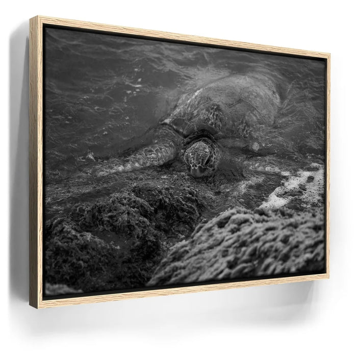 Featured image 9 for Shoreline Rest - Maui, HI