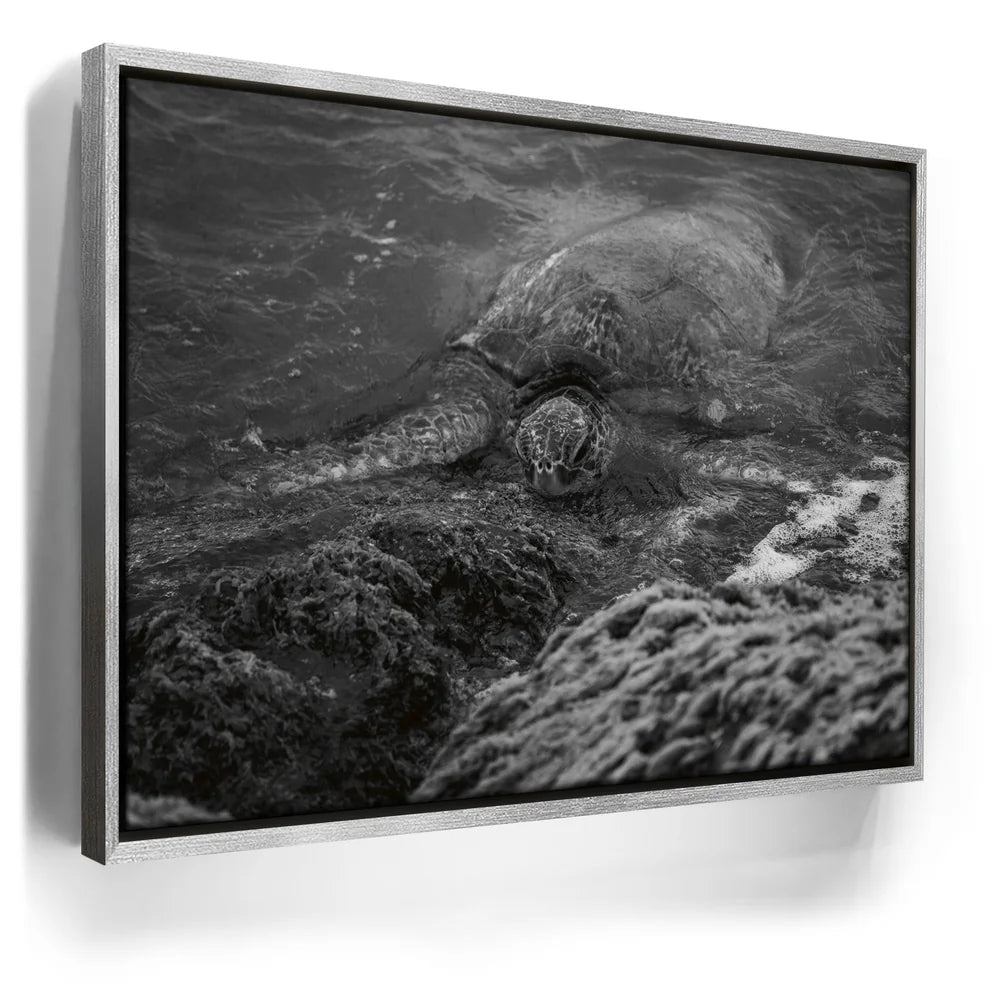 Featured image 8 for Shoreline Rest - Maui, HI