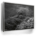 Featured image 8 for Shoreline Rest - Maui, HI