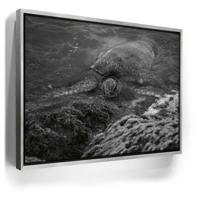 Featured image 8 for Shoreline Rest - Maui, HI