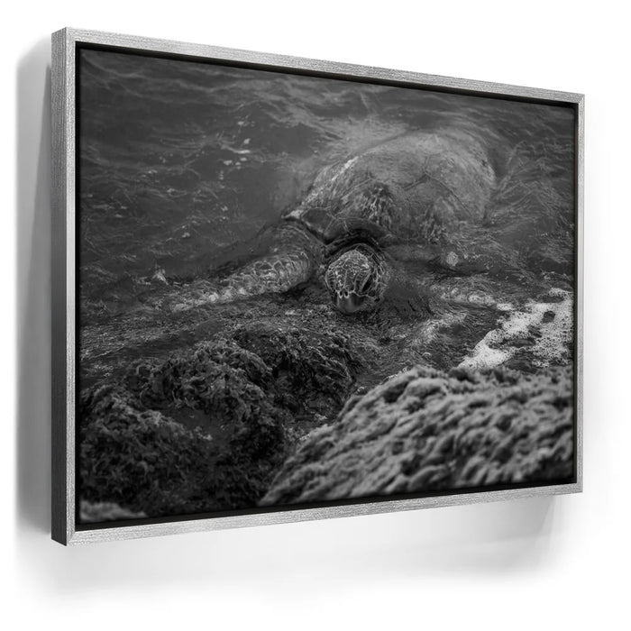 Featured image 8 for Shoreline Rest - Maui, HI