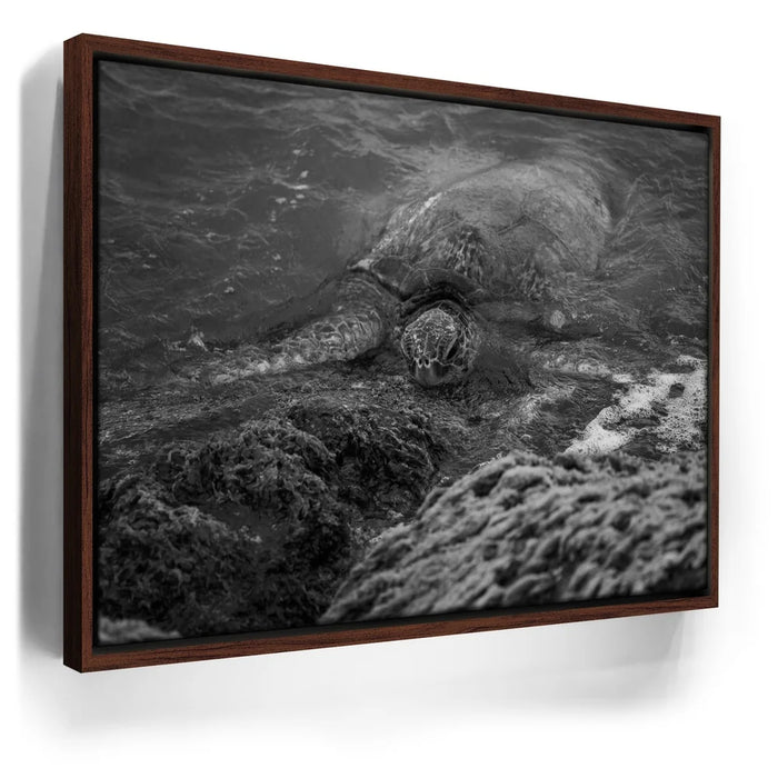 Featured image 10 for Shoreline Rest - Maui, HI