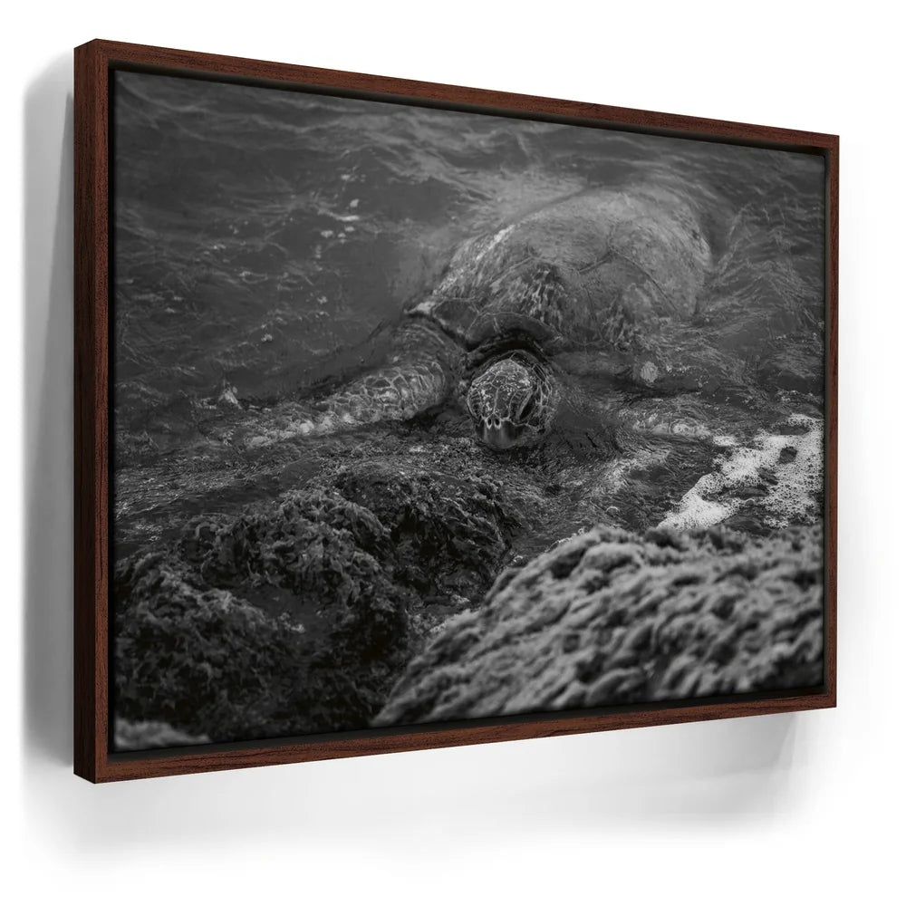 Featured image 10 for Shoreline Rest - Maui, HI