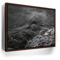 Featured image 10 for Shoreline Rest - Maui, HI
