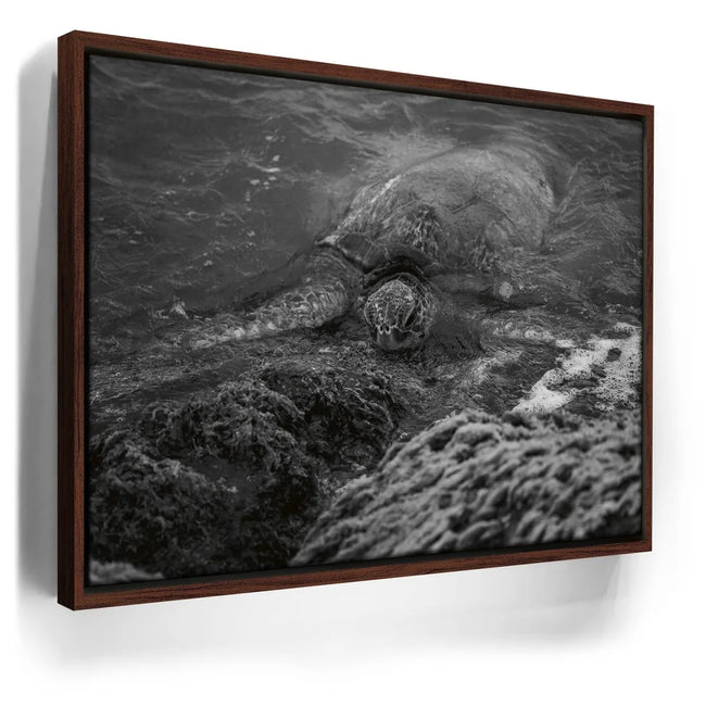 Featured image 10 for Shoreline Rest - Maui, HI