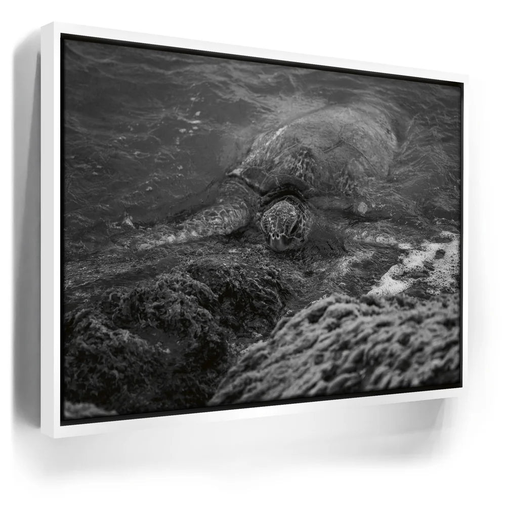 Featured image 6 for Shoreline Rest - Maui, HI