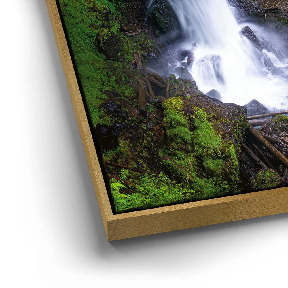 Featured image 12 for Silver Falls