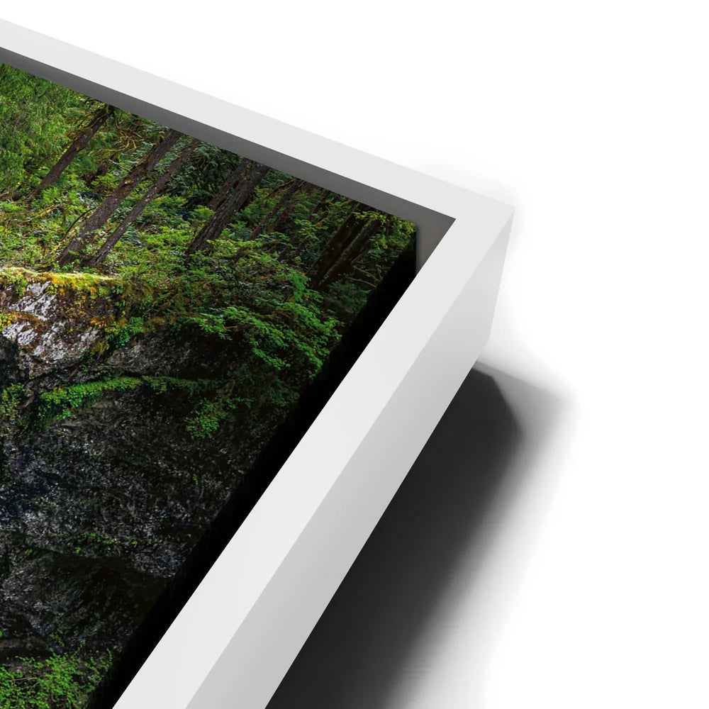 Featured image 13 for Silver Falls