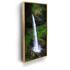 Featured image 7 for Silver Falls