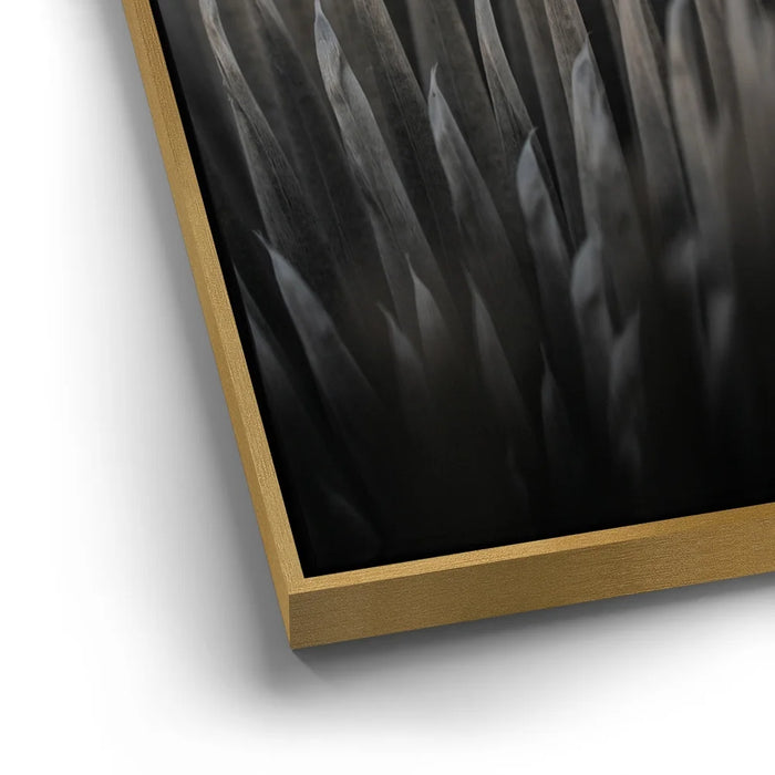 Featured image 12 for Silversword At Haleakala Volcano, Maui