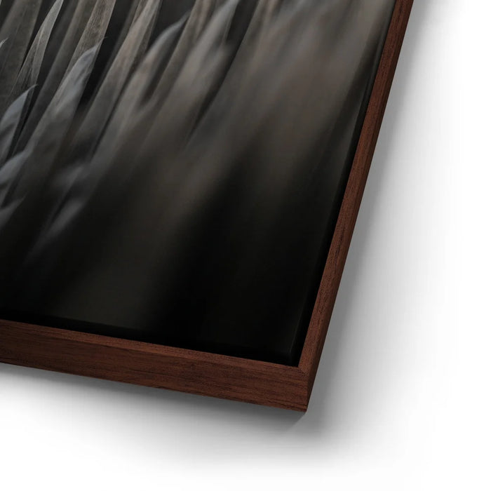 Featured image 14 for Silversword At Haleakala Volcano, Maui