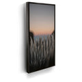 Featured image 5 for Silversword At Haleakala Volcano, Maui