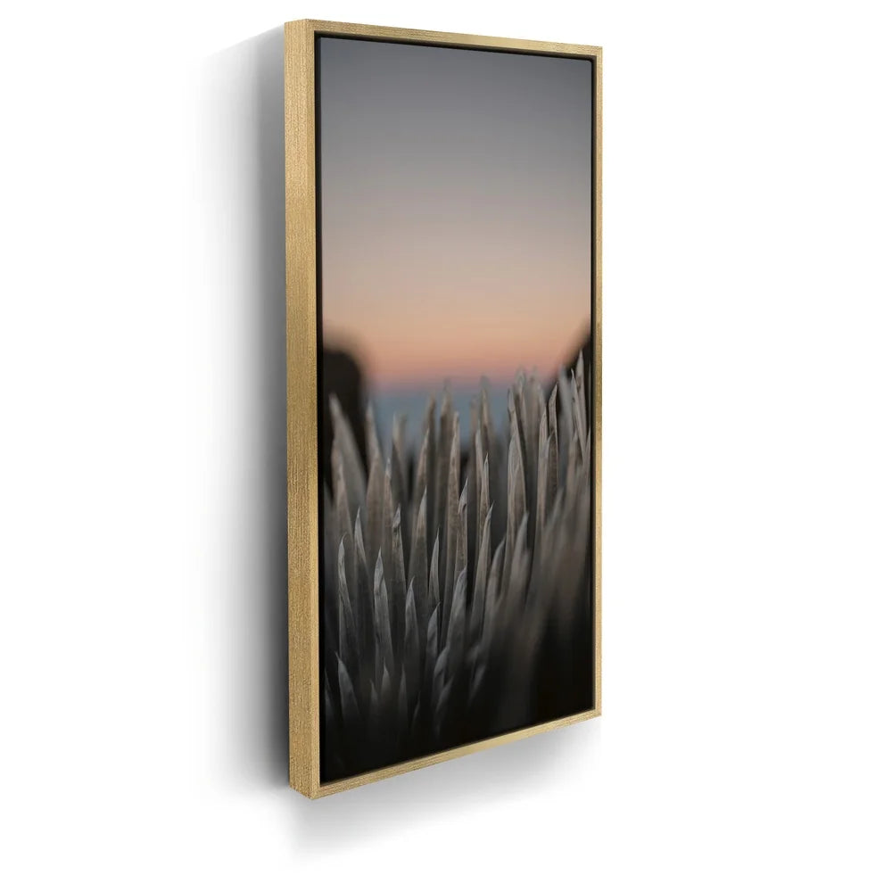Featured image 7 for Silversword At Haleakala Volcano, Maui