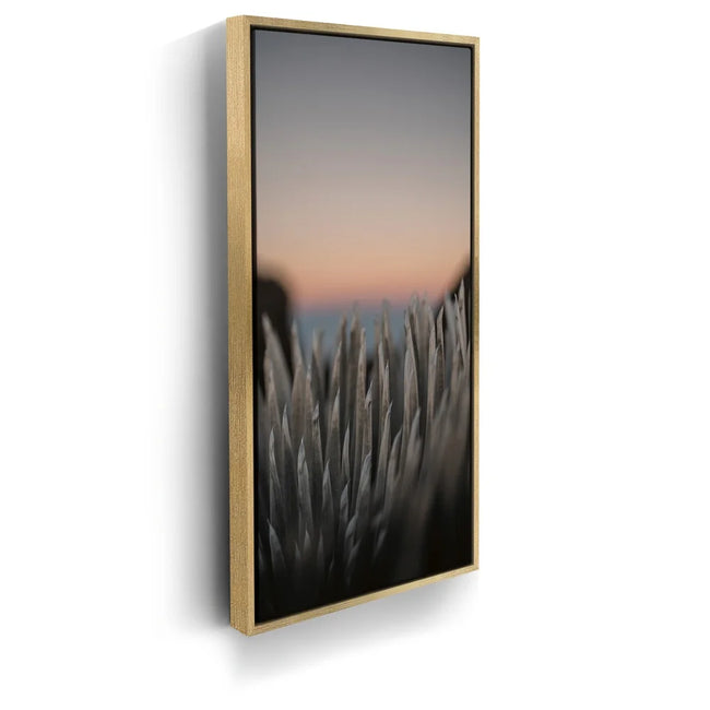Featured image 7 for Silversword At Haleakala Volcano, Maui
