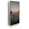 Featured image 9 for Silversword At Haleakala Volcano, Maui