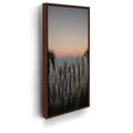 Featured image 10 for Silversword At Haleakala Volcano, Maui