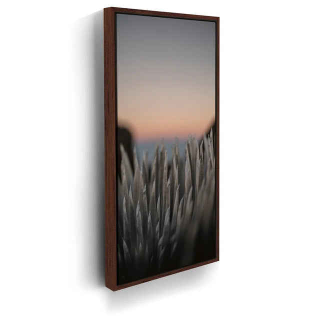 Featured image 10 for Silversword At Haleakala Volcano, Maui