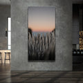 Thumbnail image 2 for Silversword At Haleakala Volcano, Maui