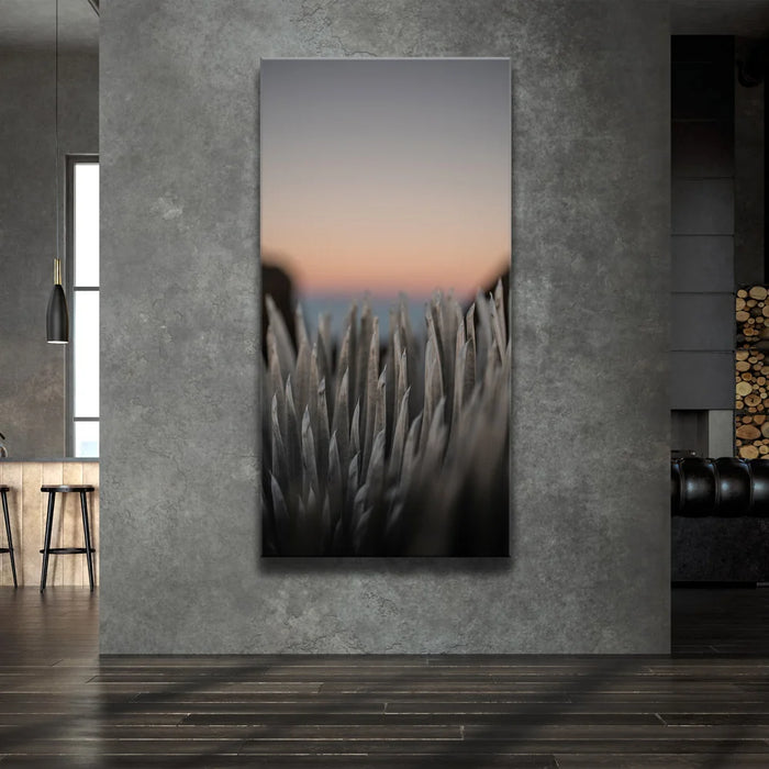 Featured image 2 for Silversword At Haleakala Volcano, Maui