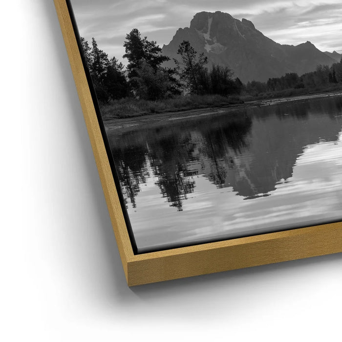 Featured image 12 for Slow Gold - Black and White