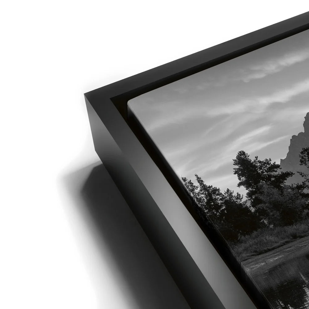 Featured image 11 for Slow Gold - Black and White