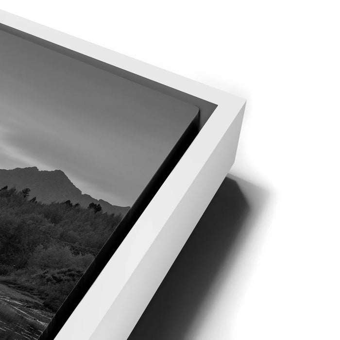 Featured image 13 for Slow Gold - Black and White