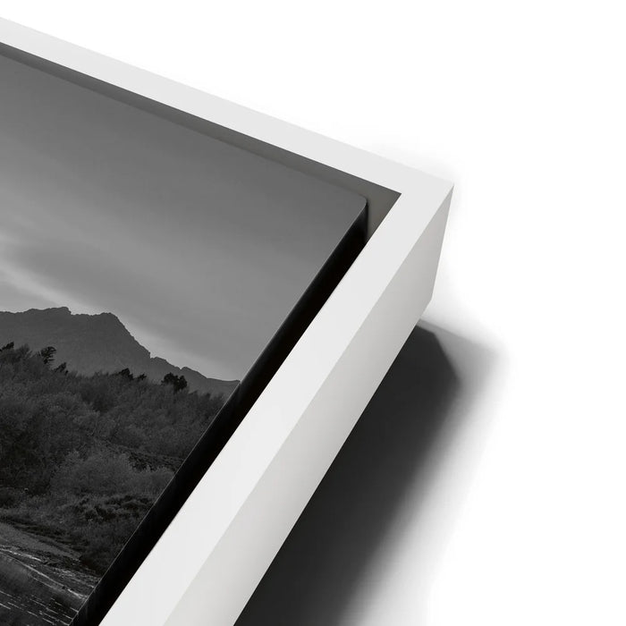 Featured image 13 for Slow Gold - Black and White