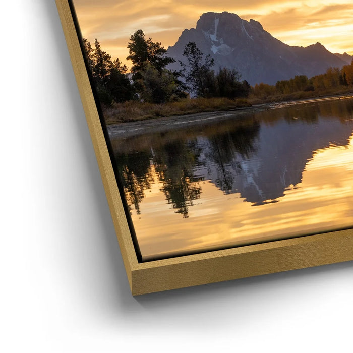 Featured image 12 for Slow Gold