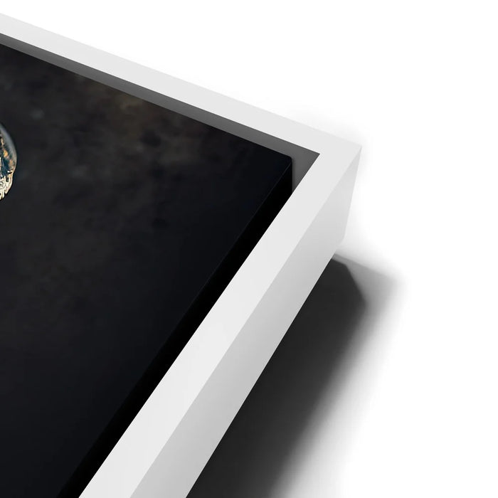 Featured image 13 for Snake Wearing Snake Skin