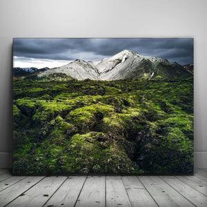 Snowy Serenity - Iceland