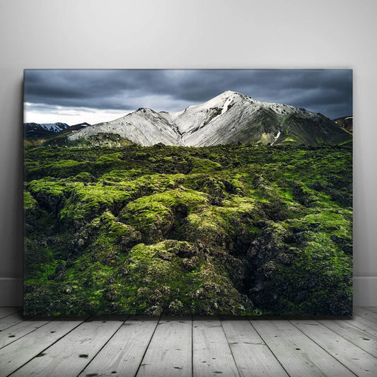 Snowy Serenity - Iceland