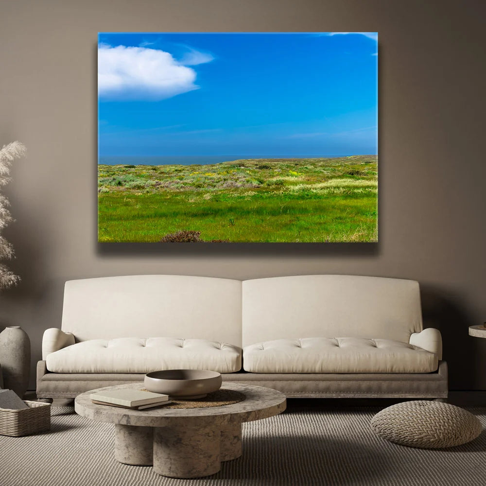 Featured image 2 for SoCal Serene