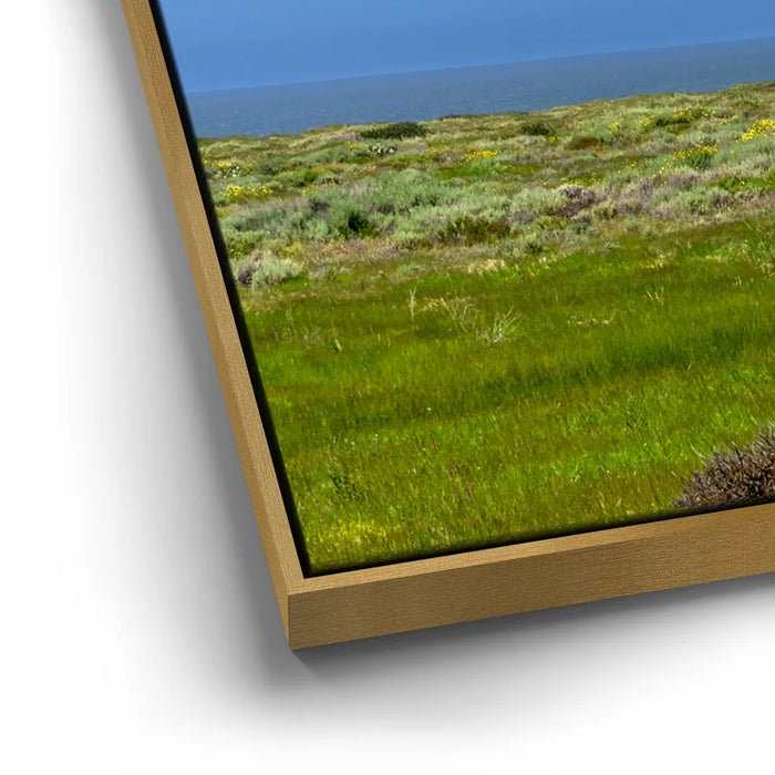 Featured image 12 for SoCal Serene