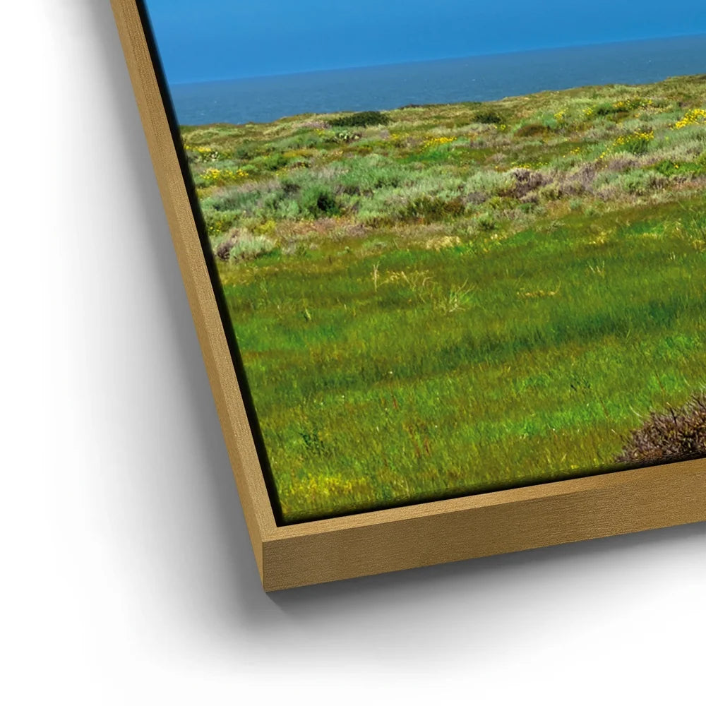 Featured image 12 for SoCal Serene