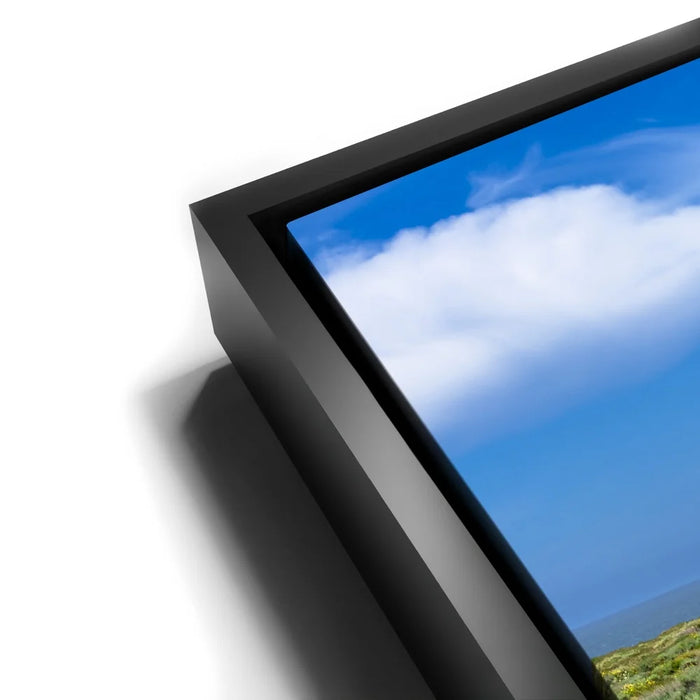 Featured image 11 for SoCal Serene